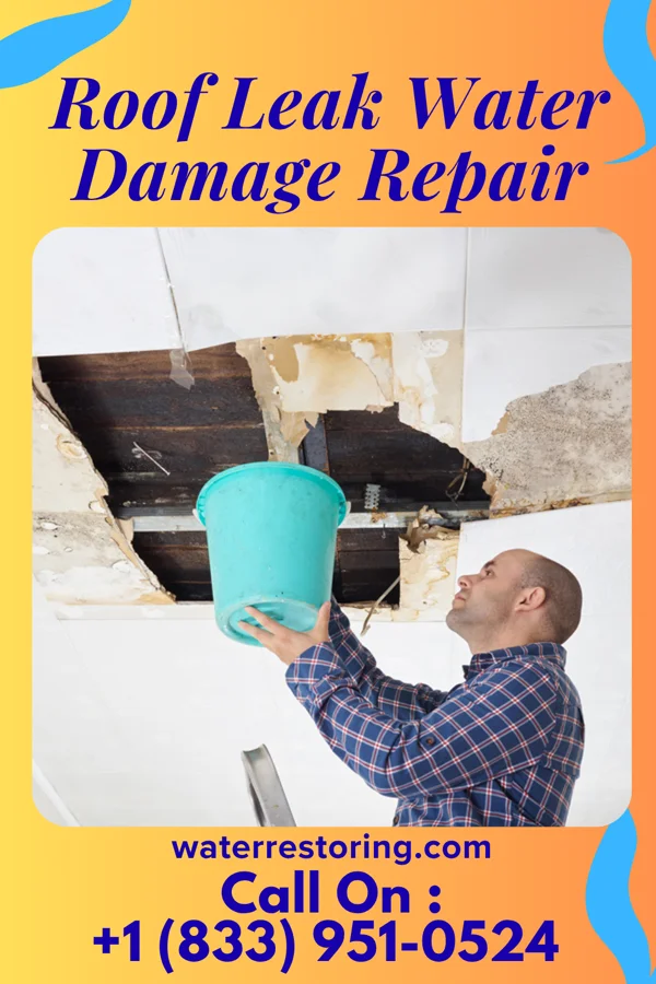 Roof Leak Water Damage Repair in St. Peter, MN