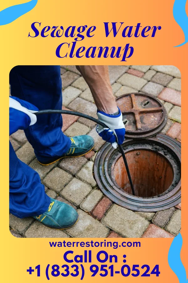 Sewage Water Cleanup in St. Peter, MN